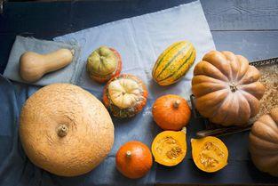 小雪狂吃瓜,一场美食与娱乐的盛宴