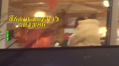 九南被爆料家暴视频,真相与反思