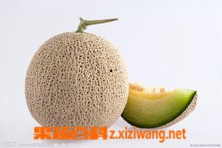 孕妇可以吃花蜜瓜吗